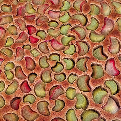Rhabarber-blechkuchen