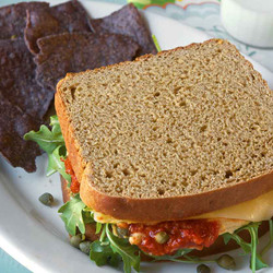 No-knead 100% Whole Wheat Bread