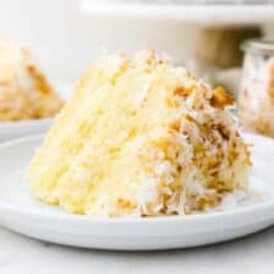 Coconut Custard Cake
