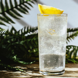 Gin Buck