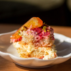Blood Orange &amp; Raspberry Tiramisu