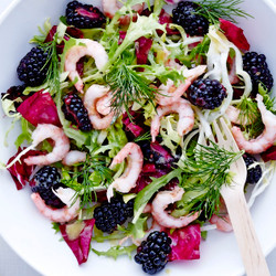 Sallad Med Kål, Räkor, Björnbär Och Vinägrett
