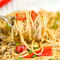 Crock Pot Chicken Lo Mein Recipe
