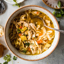 Instant Pot Chicken Noodle Soup