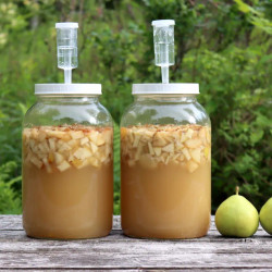 Pear Wine