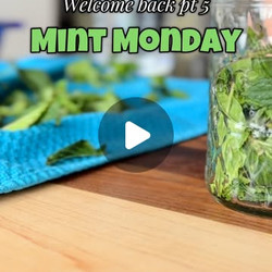 Mint Extract