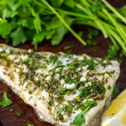 Grilled Haddock
