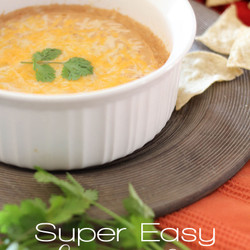 Super Easy Bean Dip