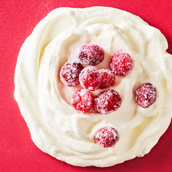 Cranberry Pie