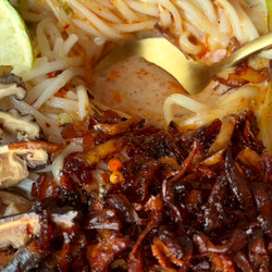 Creamy Coconut Noodles w/ Umami Shredded Tofu Mince
