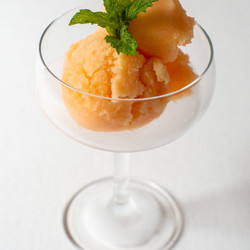Negroni Sorbetto