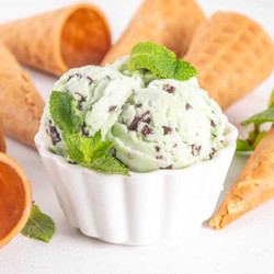 Mint Chocolate Chip Ice Cream