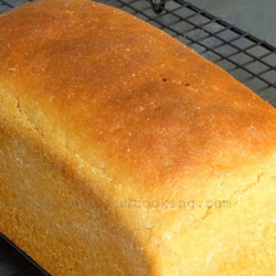 100% Whole Wheat Bread (autolyse Method)