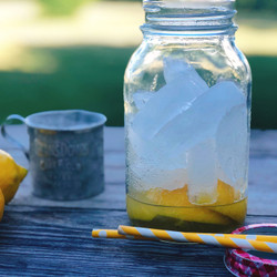 Lemon Shakeup