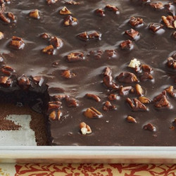 Chocolate Sheet Cake