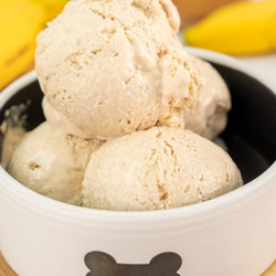 Dog Ice Cream