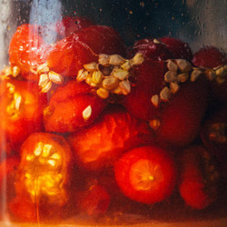 Rosehip Cheong