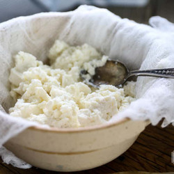 Homemade Ricotta Cheese Recipe