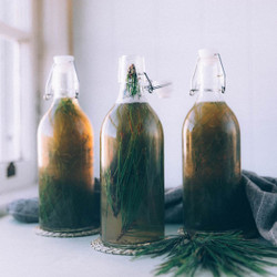 Pine Needle Soda