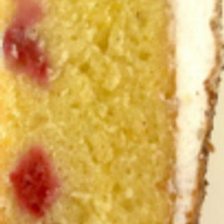 PLAIN OR FANCY LIGURIAN LEMON CAKE