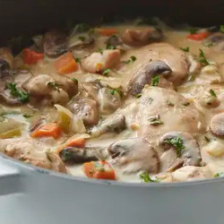 Creamy Chicken And Mushroom Fricassee