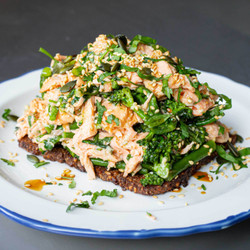 Salmon, Coriander &amp; Miso Smoosh