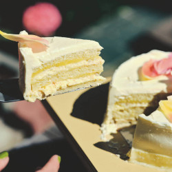 Natasha Pickowicz Passion Fruit, Coconut &amp; Tequila Layer Cake