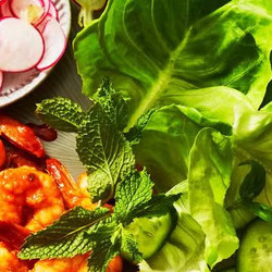 Spicy Shrimp Lettuce Wraps