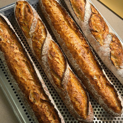 Sourdough Baguettes