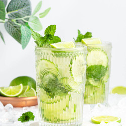 Easy Virgin Mojito Mocktail