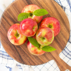 Homemade Small Batch Crockpot Applesauce