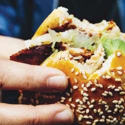 Breaded Chicken Sandwiches With Sesame Rolls (cemita Poblana De Milanesa)