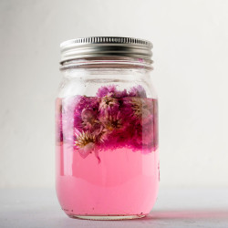 Chive Blossom Vinegar