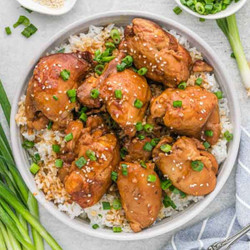 Crock Pot Honey Garlic Chicken Thighs
