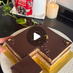 قاطو أوبيرا ناجح من أول تجربة