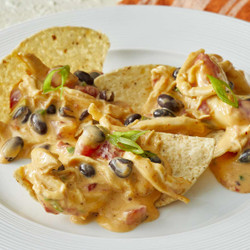 Outrageous Warm Chicken Nacho Dip