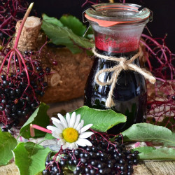 Elderberry Syrup Recipe