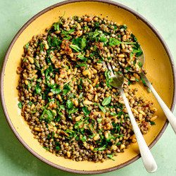 Lentil Salad With Fresh Herbs
