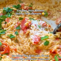 Creamy Garlic Parmesan Orzo