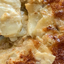 Potato-fennel Gratin (updated) | Recipes