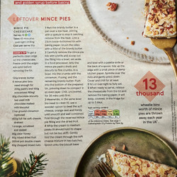 Leftover Mince Pies Cheesecake
