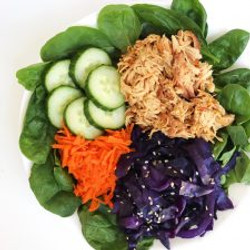 Slow Cooker Asian Honey Chicken