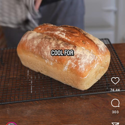 Crusty White Loaf