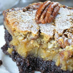 Chocolate Pecan Ooey Gooey Butter Cake