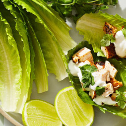 Spice-rubbed Chicken Lettuce Cups