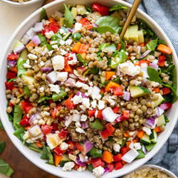 The Best Lemon Balsamic Lentil Salad