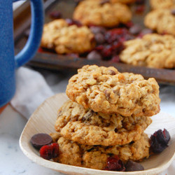 Oatmeal Cranberry Pecan Cookies | Uproot Kitchen