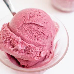 Blueberry Frozen Yogurt