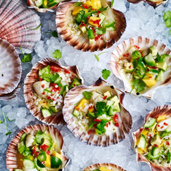 Scallop Ceviche With Mango And Avocado Salsa