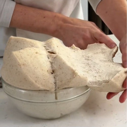 Lievito Sourdough Starter